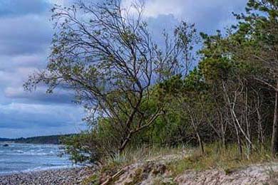 欧易交易所-欧易(OKX)交易所官方下载完全指南，安全、快速开启加密交易